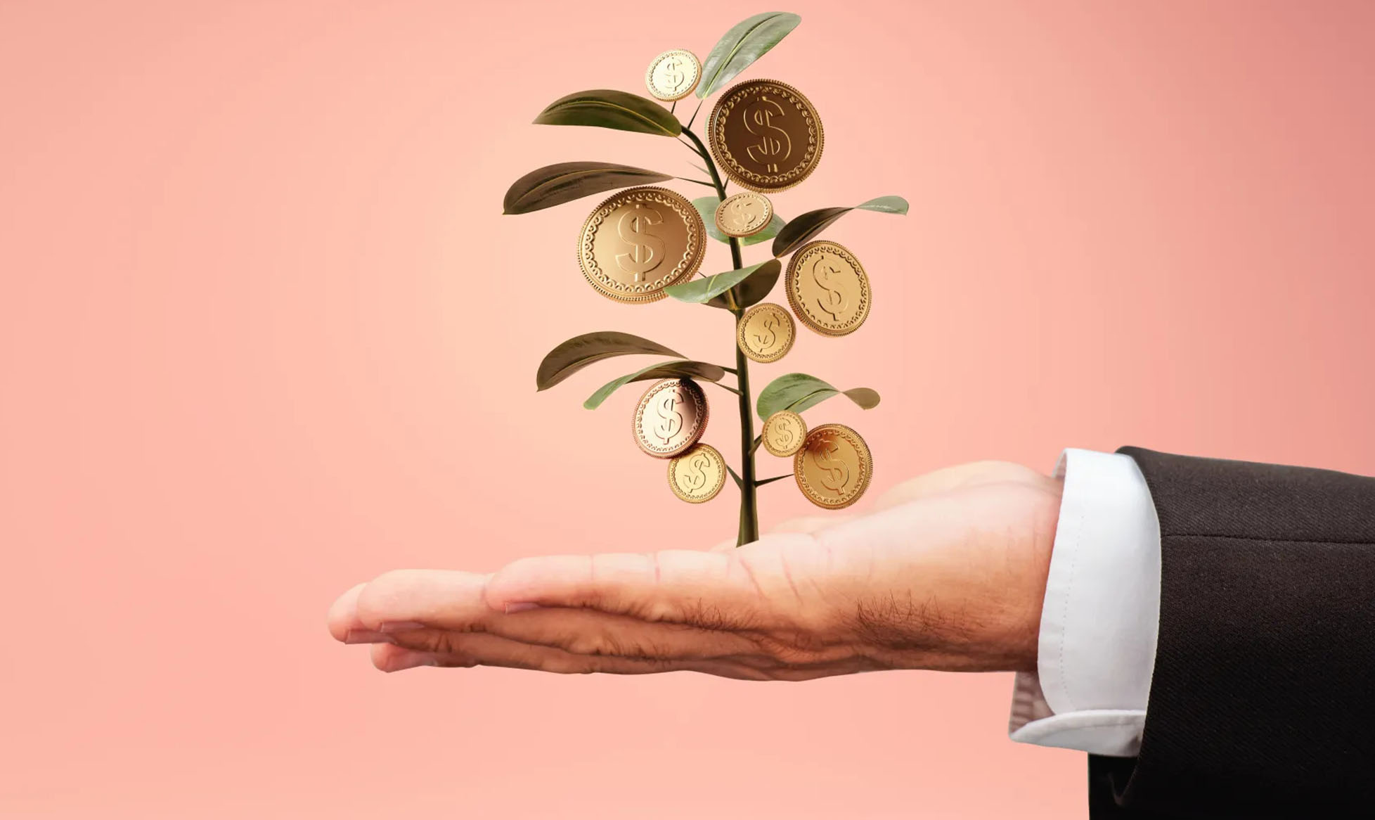From Zero to Wealth: A True Story of Financial Success through Smart Investment
