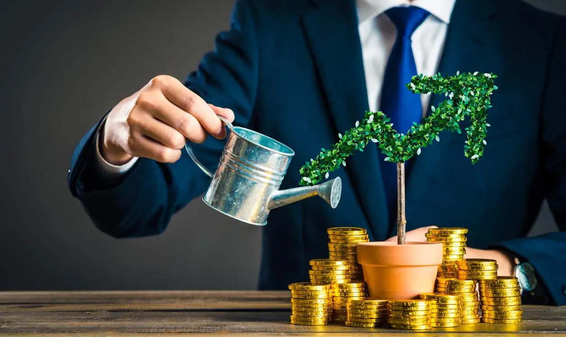 Fund Investment Strategies: Mastering the Key Path to Wealth Growth