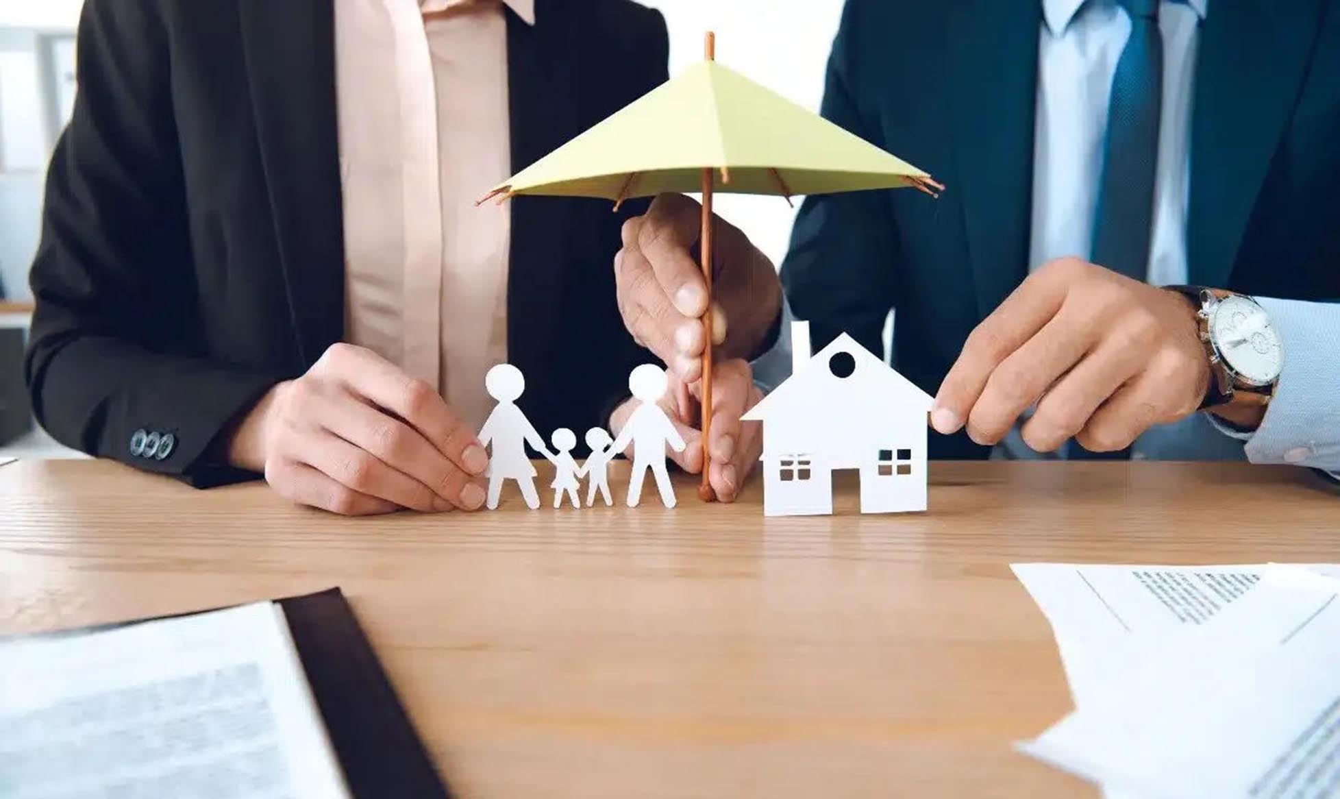 Insurance and Protection Plans: Everything You Need to Know