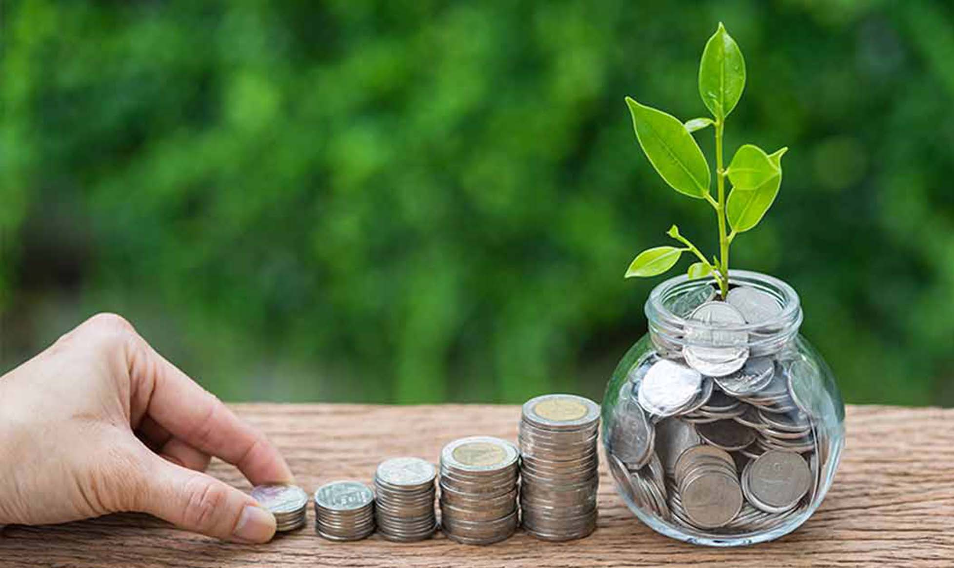 Long-Term Investment Goal Planning: A Clear Path Toward Financial Freedom