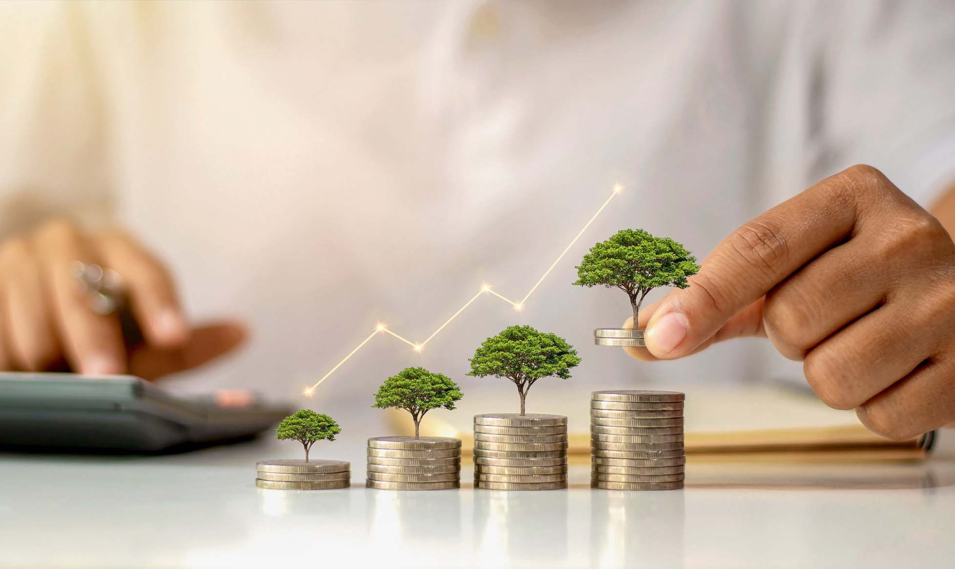 Success Stories in Wealth Management and Investment: A Journey from Confusion to Wealth Accumulation